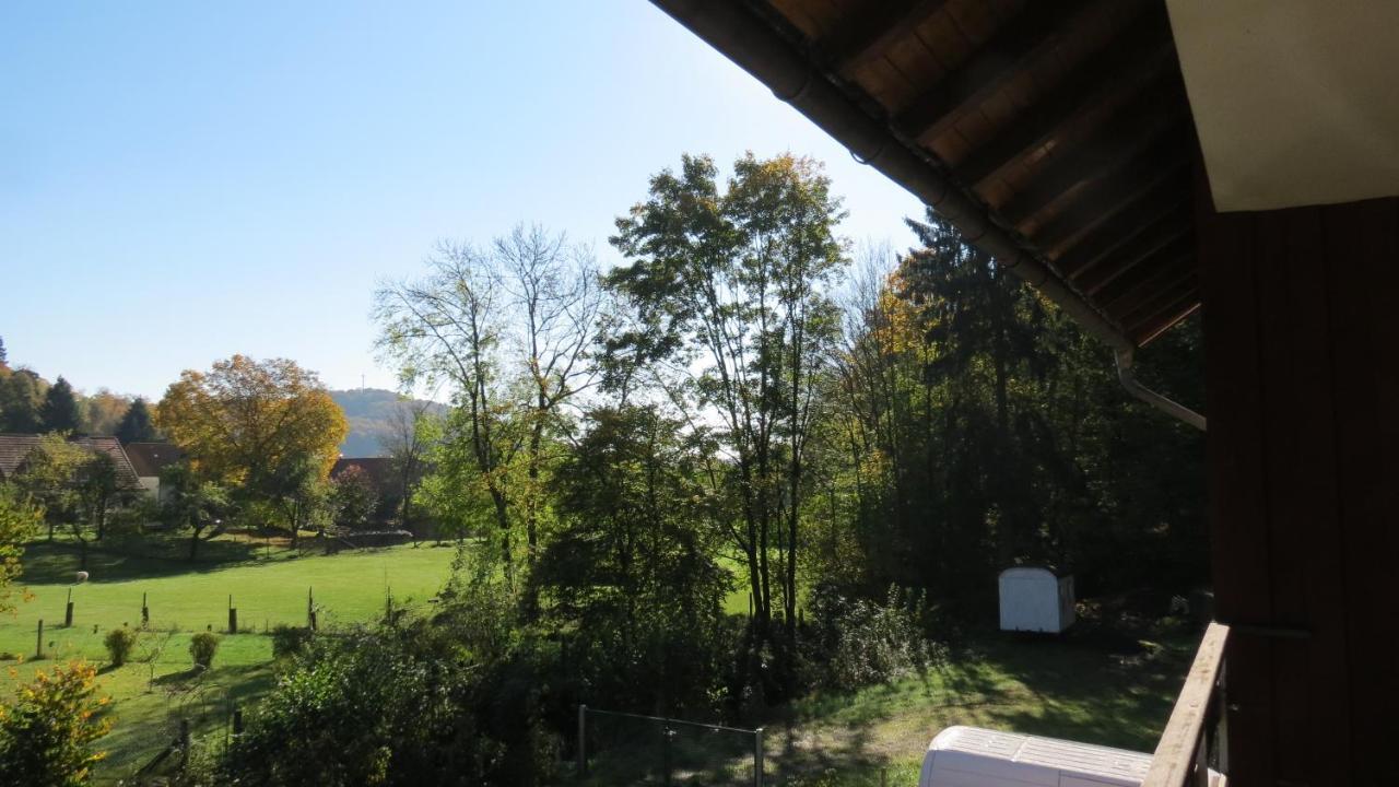 FeWo mit Balkon direkt am Wald und Wanderweg, Ruhe pur, DG Bad Sachsa Exterior foto